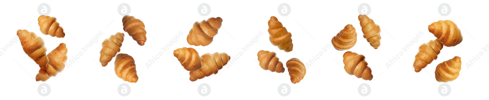 Image of Golden croissants falling on white background, set