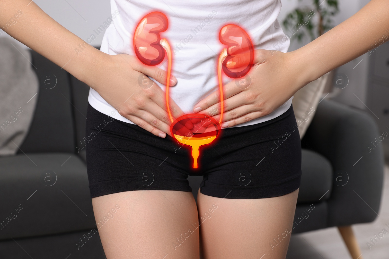 Image of Woman suffering from cystitis at home, closeup. Illustration of urinary system