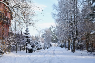Photo of Beautiful view of city street with cottages and trees on winter day