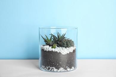 Photo of Glass florarium with different succulents on color background