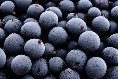 Photo of Tasty frozen black currants as background, closeup view