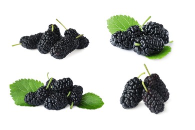 Set with fresh ripe black mulberries on white background