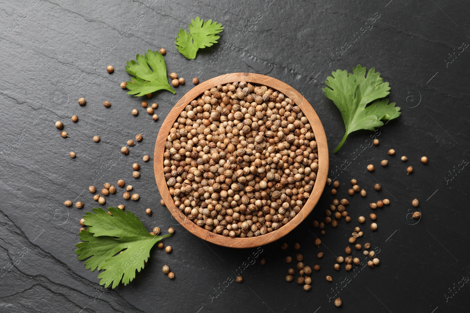 Photo of Dried coriander seeds in bowl and green leaves on dark gray textured table, flat lay