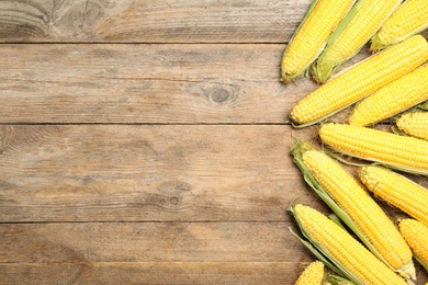 Photo of Tasty sweet corn cobs on wooden table, flat lay. Space for text