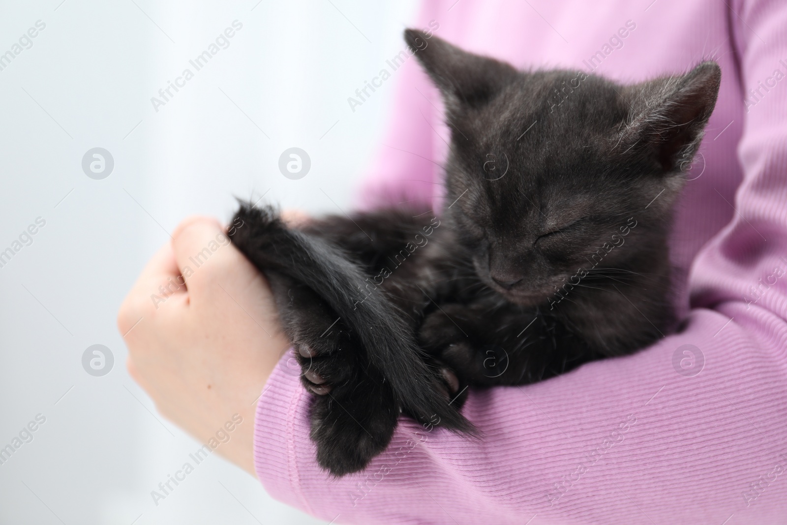 Photo of Little girl with cute fluffy kitten indoors, closeup