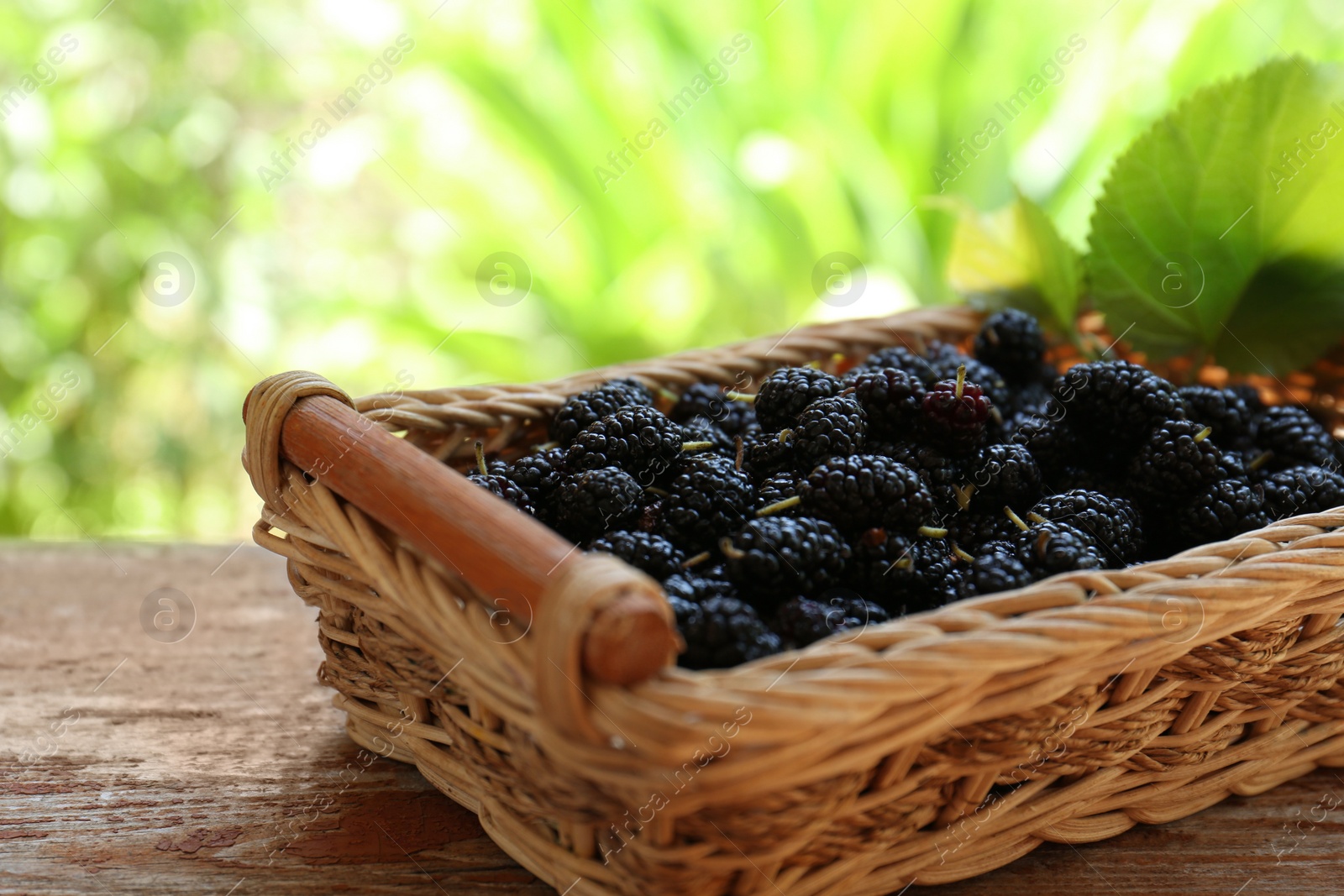 Photo of Wicker basket with delicious ripe black mulberries on wooden table against blurred background