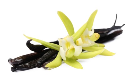 Photo of Vanilla pods and beautiful flowers isolated on white