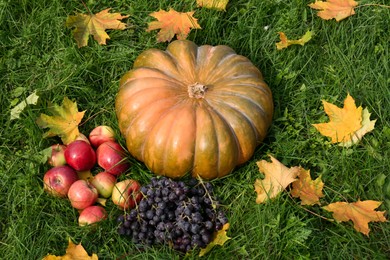 Photo of Ripe pumpkin, fruits and maple leaves on green grass outdoors, above view. Autumn harvest