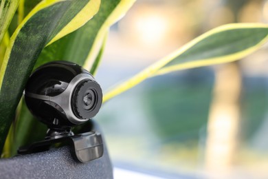 Photo of Camera hidden in flowerpot with houseplant on windowsill. Space for text