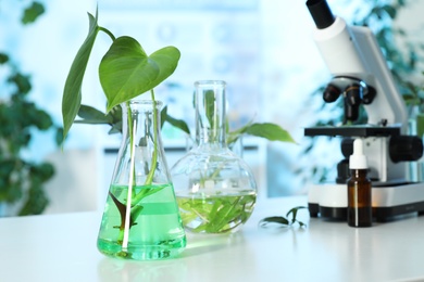 Laboratory glassware with plants and microscope on table, space for text. Biological chemistry