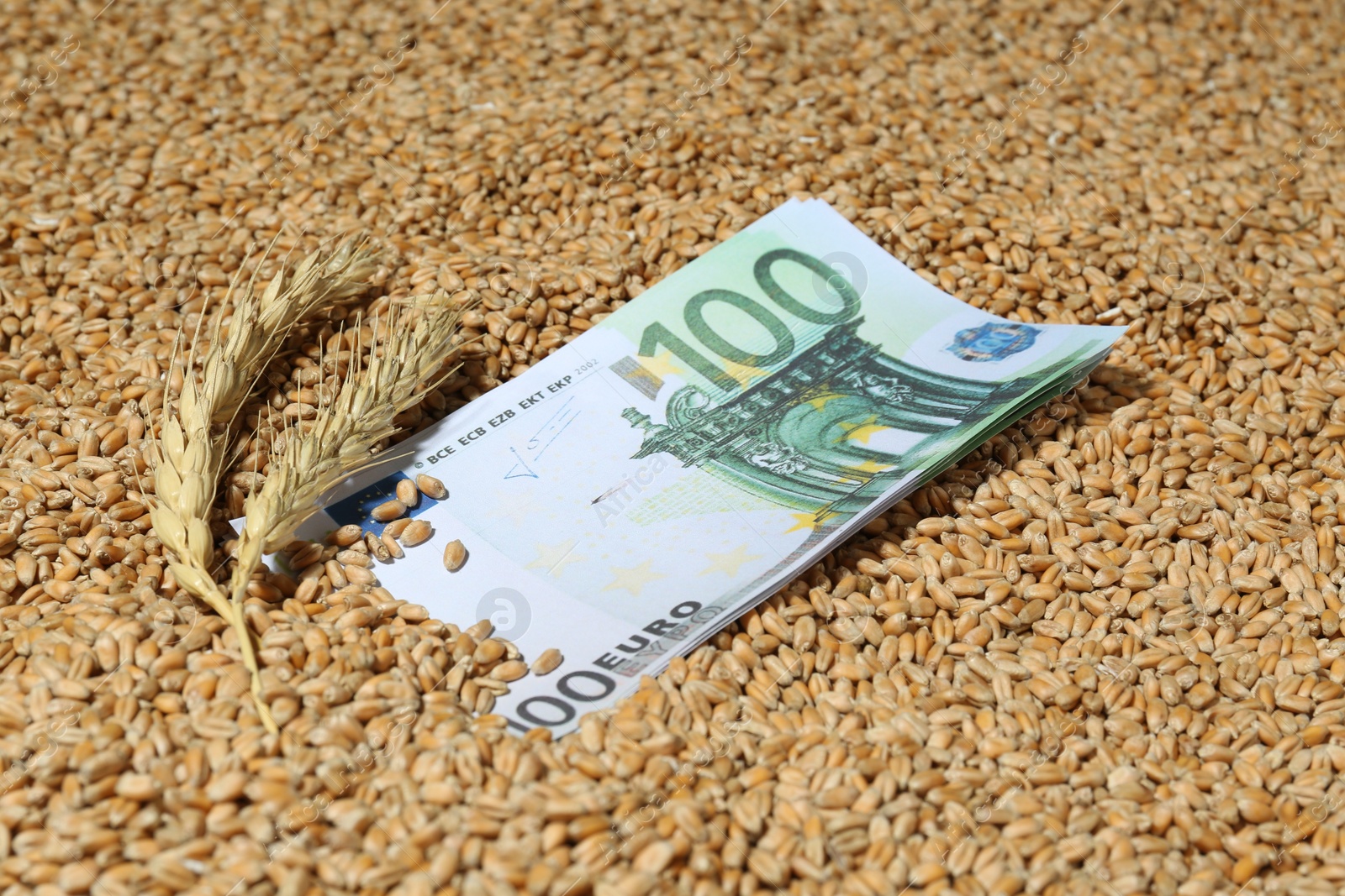 Photo of Euro banknote and ears of wheat on grains. Global food crisis concept
