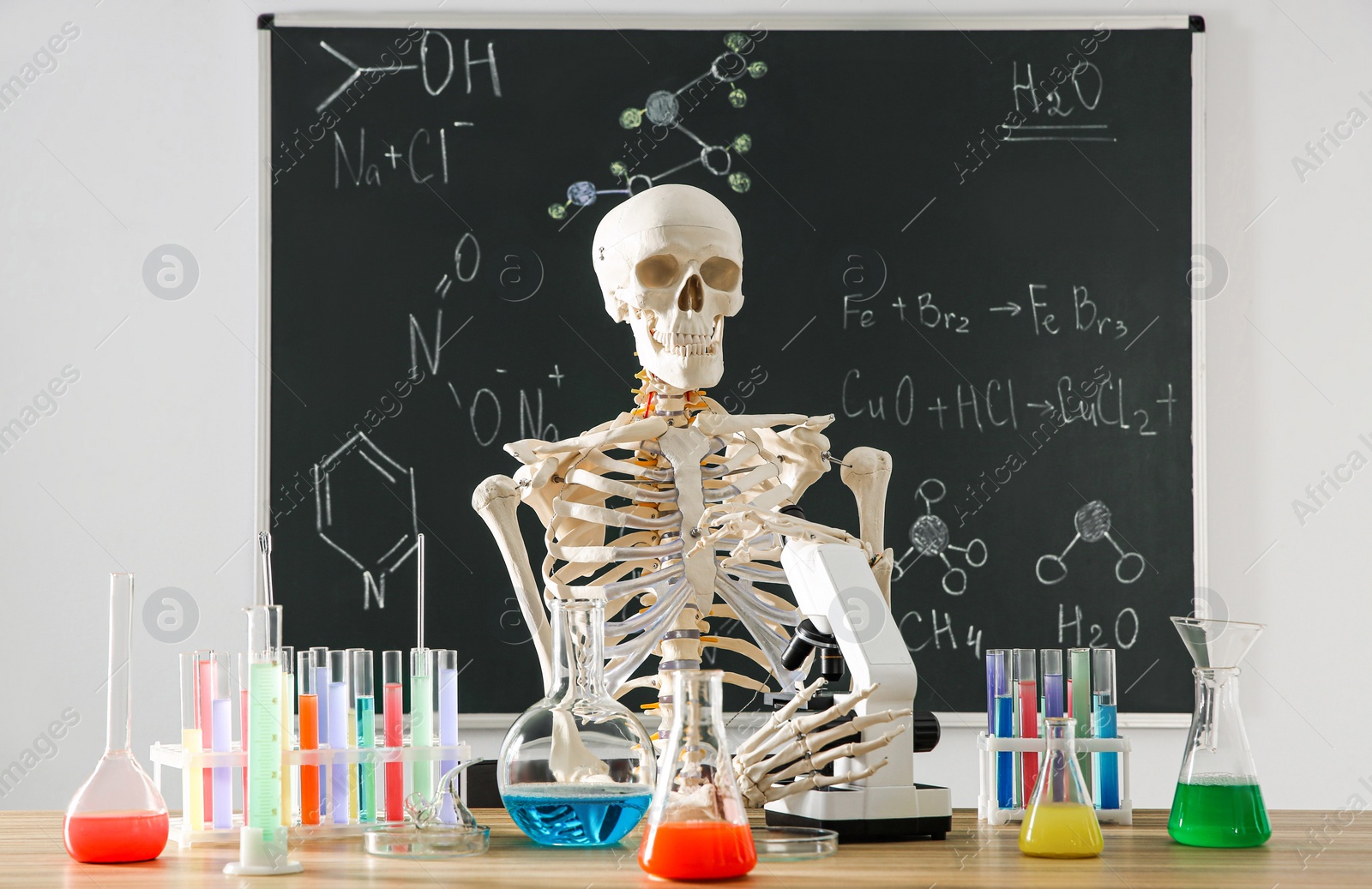 Photo of Skeleton and different chemistry glassware in classroom