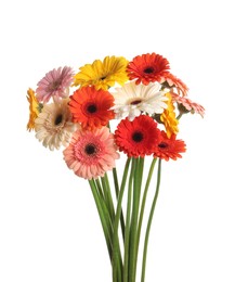 Photo of Bouquet of beautiful colorful gerbera flowers on white background