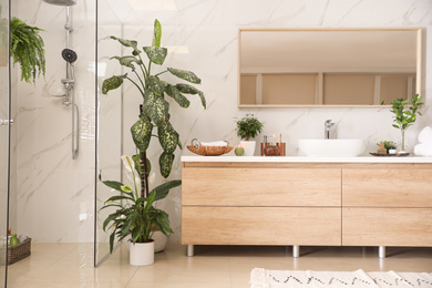 Photo of Interior of modern bathroom with green plants