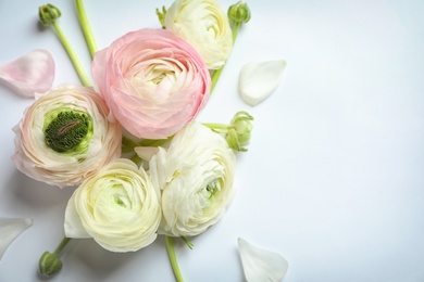 Photo of Beautiful ranunculus flowers on white background