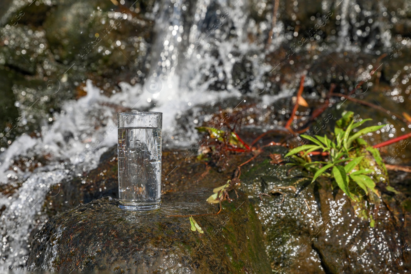 Photo of Wet glass of water on rocks near flowing stream outdoors, space for text