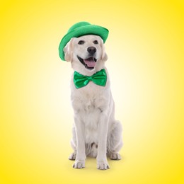 Image of St. Patrick's day celebration. Cute Golden Retriever dog with green hat and bow tie on yellow background