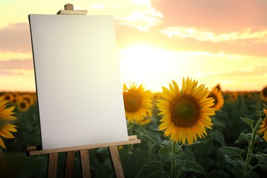 Image of Wooden easel with blank canvas in field with yellow sunflowers at sunset. Space for text