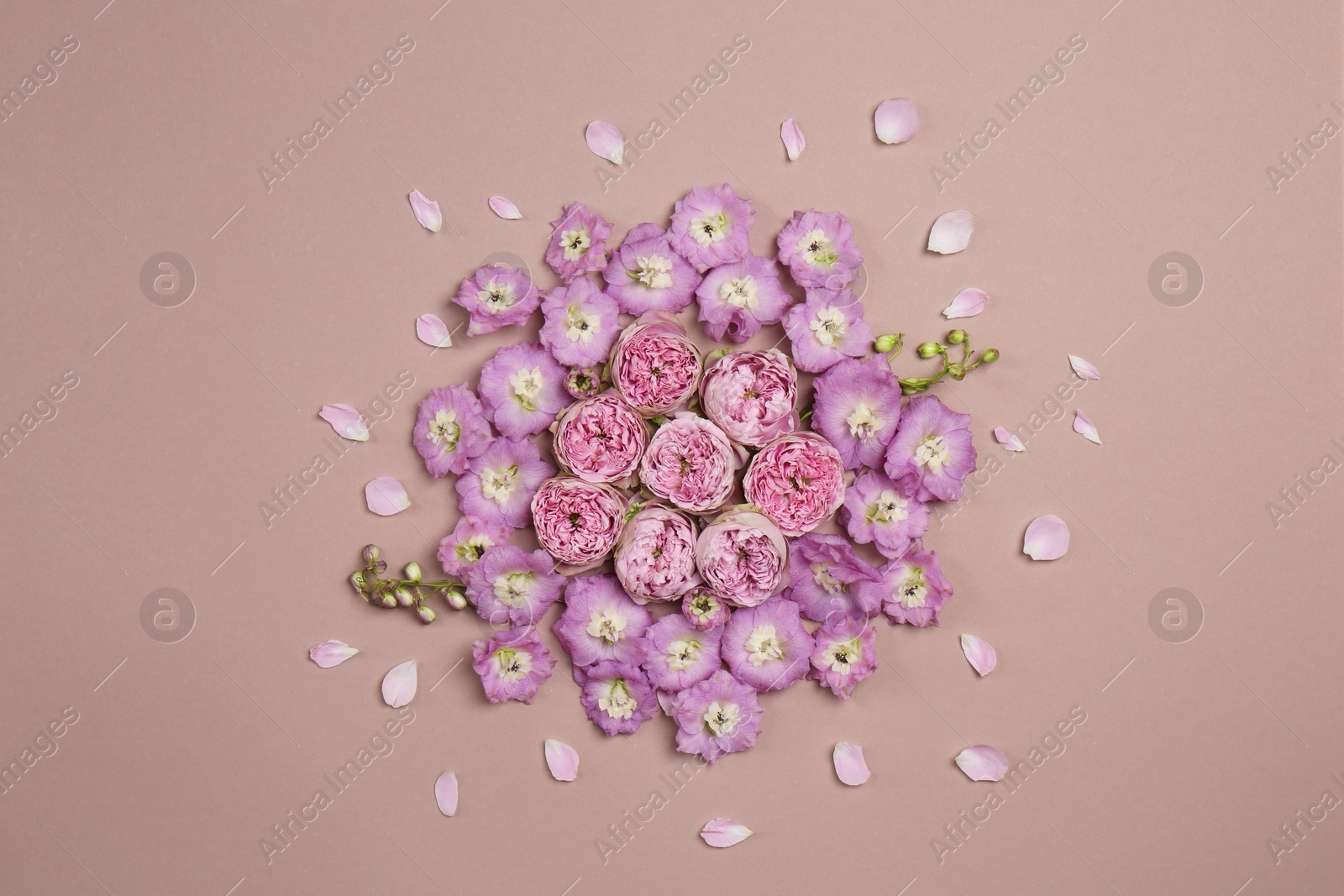 Photo of Flat lay composition with different beautiful flowers on beige background