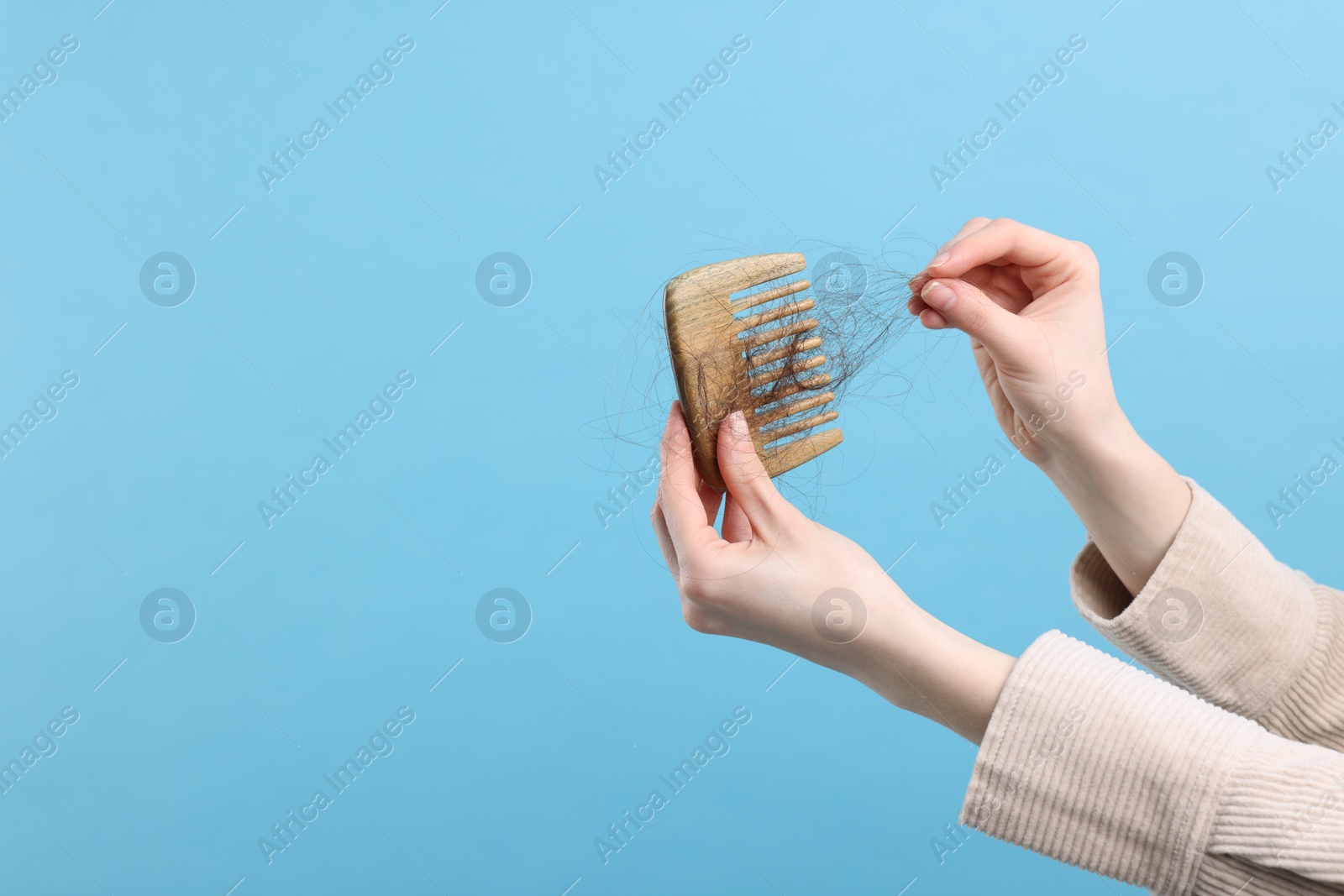 Photo of Woman untangling her lost hair from comb on light blue background, closeup and space for text. Alopecia problem