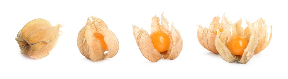 Set with tasty ripe physalis fruits on white background. Banner design