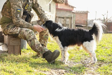 Ukrainian soldier feeding stray dog outdoors on sunny day, closeup