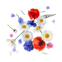 Beautiful meadow flowers falling on white background