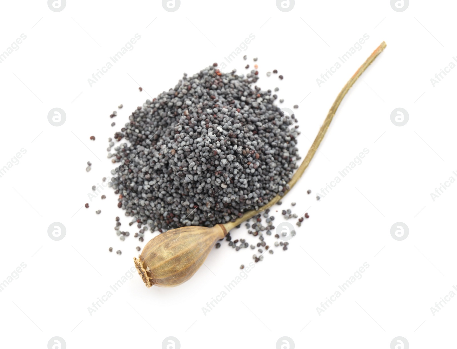 Photo of Poppy seeds and dried pod on white background, top view