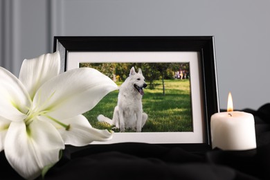 Photo of Frame with picture of dog, burning candle and lily flower on black cloth, closeup. Pet funeral