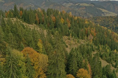 Aerial view of beautiful mountain forest on autumn day