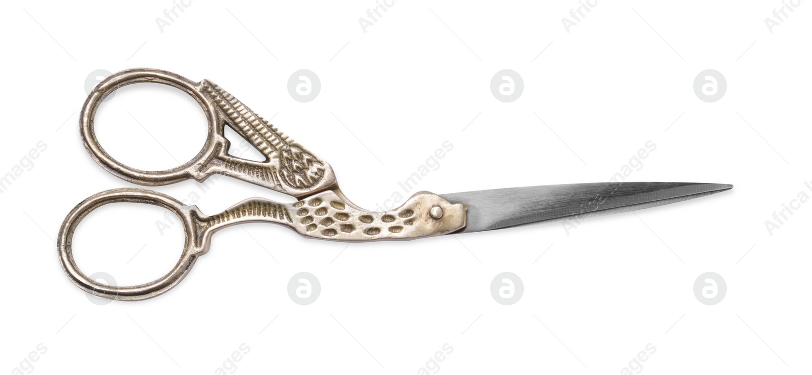 Photo of Beautiful scissors with bird shaped handles on white background, top view