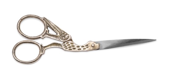 Photo of Beautiful scissors with bird shaped handles on white background, top view