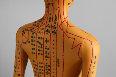 Photo of Acupuncture model. Mannequin with dots and lines on grey background