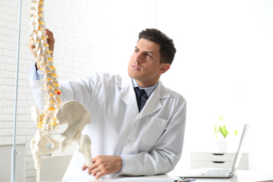 Photo of Professional orthopedist at table in medical office