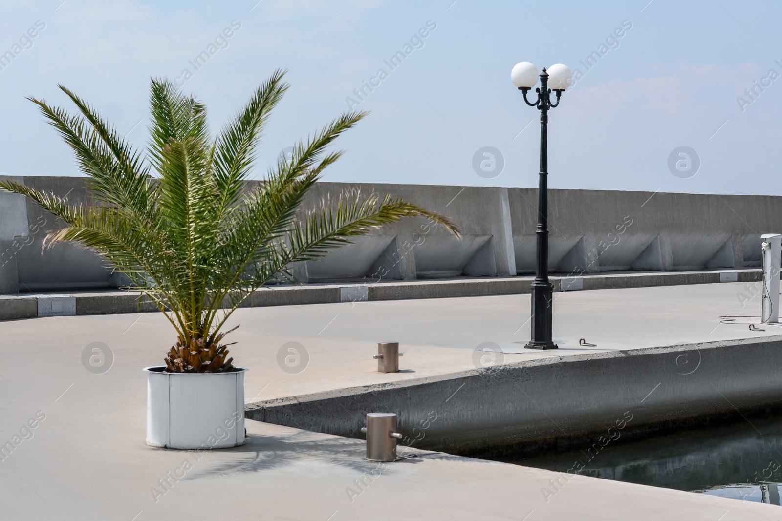 Photo of Beautiful view of concrete pier with palm on sunny day