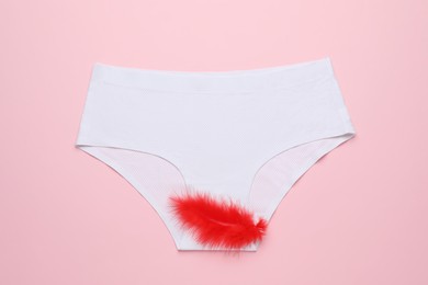 Photo of Woman's panties with red feather on pink background, top view. Menstrual cycle