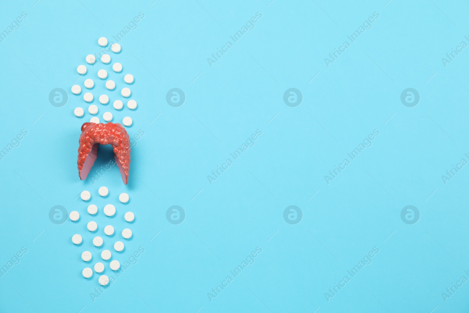 Photo of Endocrinology, Pills and model of thyroid gland on light blue background, top view. Space for text