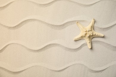 Photo of Beautiful sea star on sand, top view. Space for text