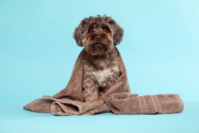 Photo of Cute dog with towel on light blue background