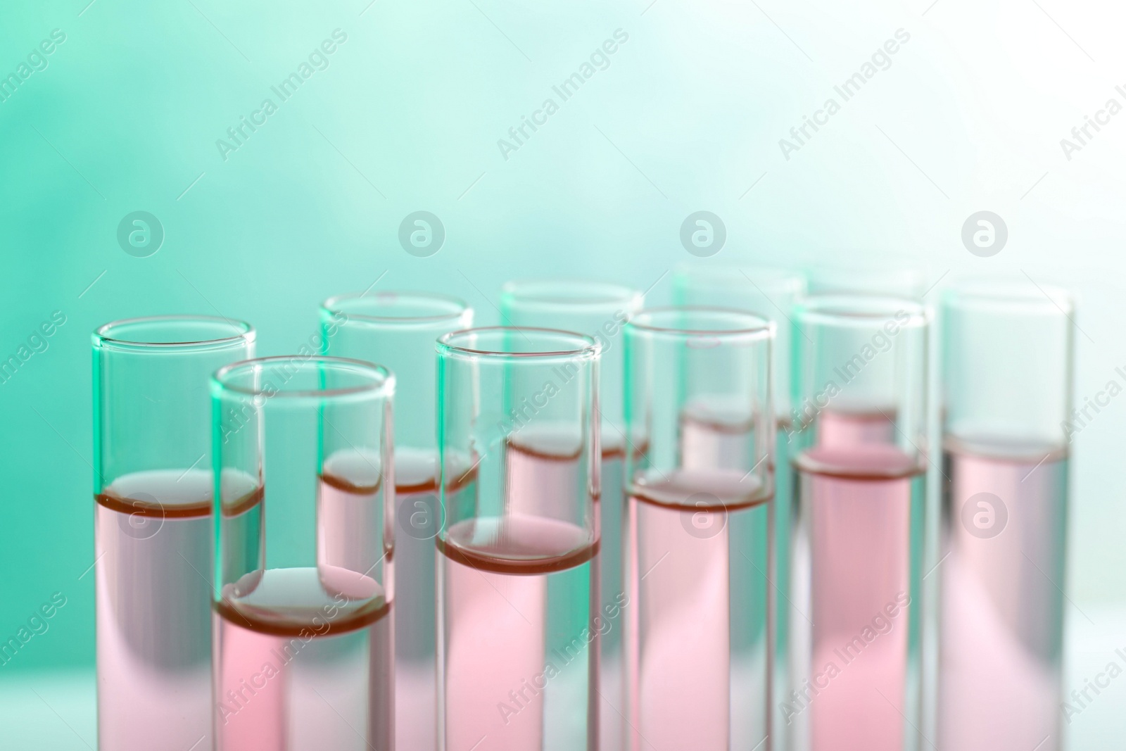 Photo of Many test tubes with liquid on color background, closeup