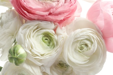 Photo of Beautiful ranunculus flowers, closeup