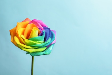 Photo of Amazing rainbow rose flower on color background