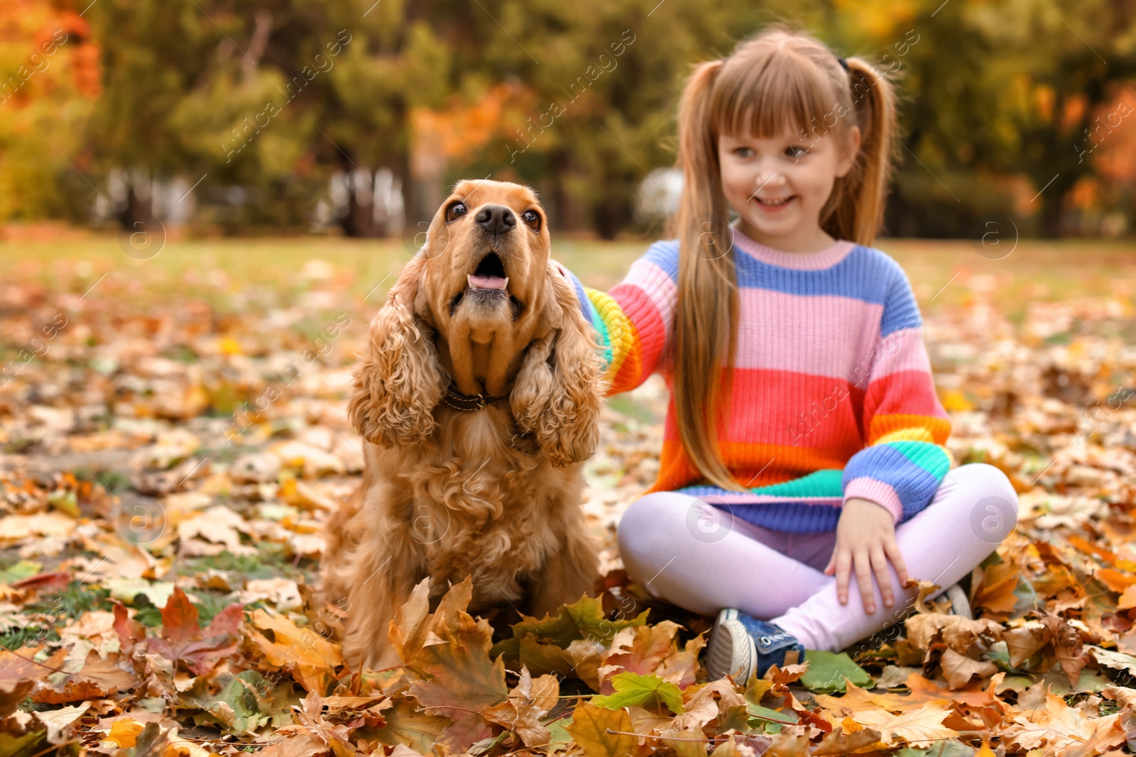 Photo of Cute little girl with her pet in park. Autumn walk