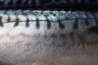 Photo of Texture of raw mackerel as background, closeup