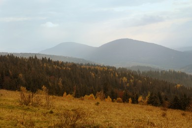 Beautiful landscape with forest in mountains on autumn day