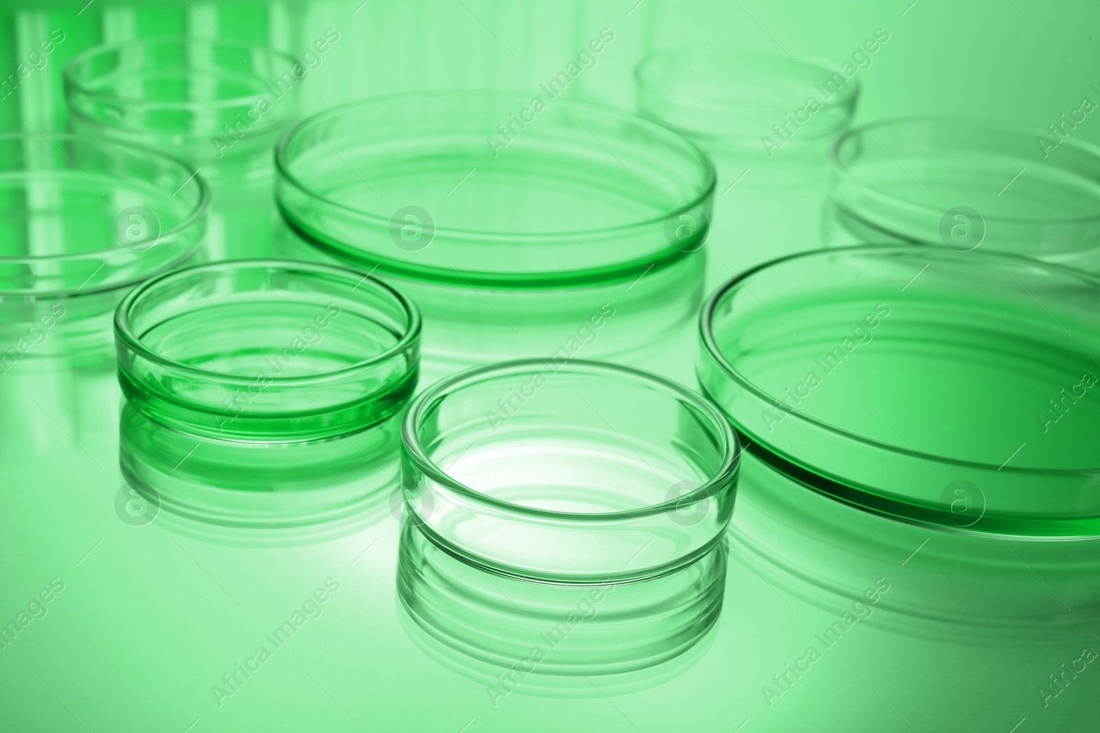 Image of Petri dishes with liquid on table, toned in green. Laboratory glassware