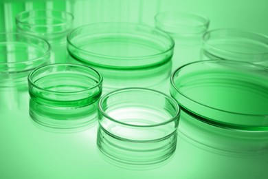 Petri dishes with liquid on table, toned in green. Laboratory glassware