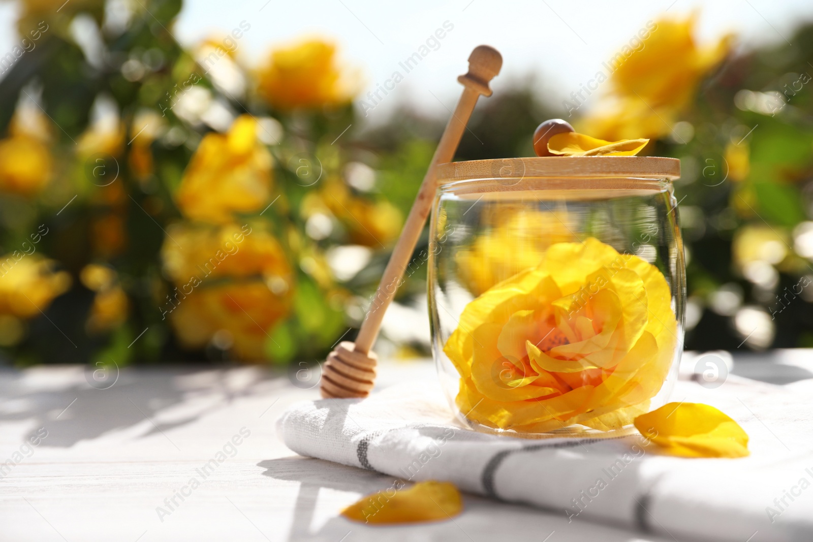 Photo of Glass jar with yellow rose and honey dipper on white wooden table in blooming garden, space for text