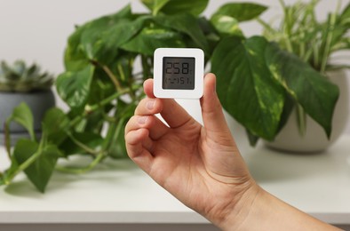Photo of Woman holding digital hygrometer with thermometer near plants indoors, closeup