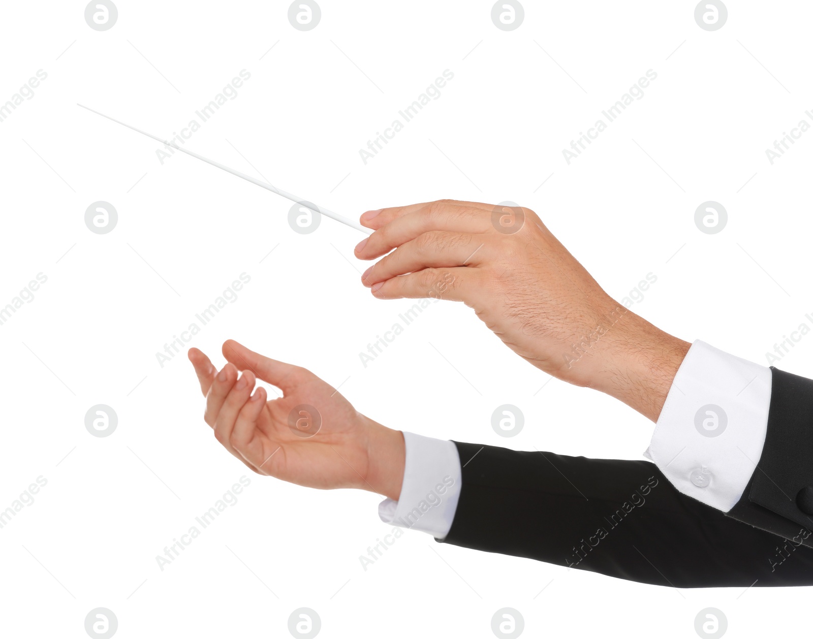 Photo of Professional conductor with baton on white background, closeup